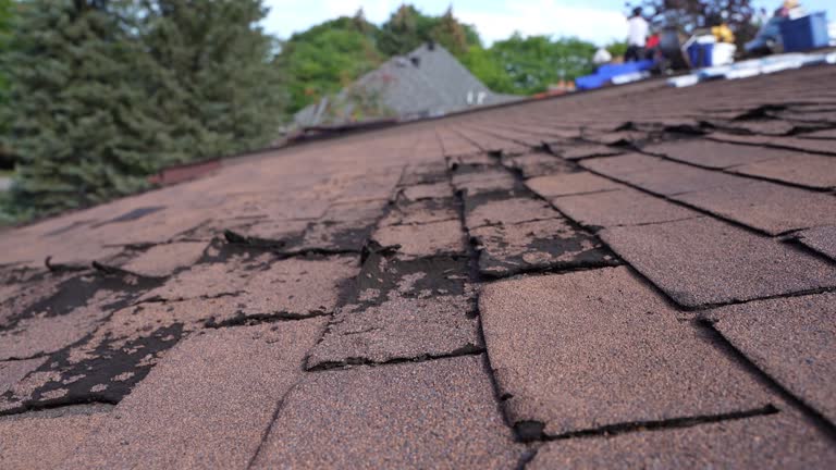 Best Emergency Roof Repair Services  in Atkinson, IL
